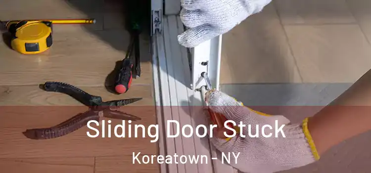  Sliding Door Stuck Koreatown - NY