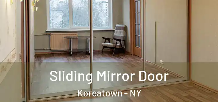  Sliding Mirror Door Koreatown - NY