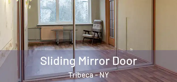  Sliding Mirror Door Tribeca - NY