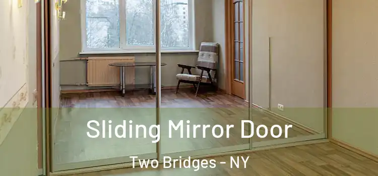  Sliding Mirror Door Two Bridges - NY