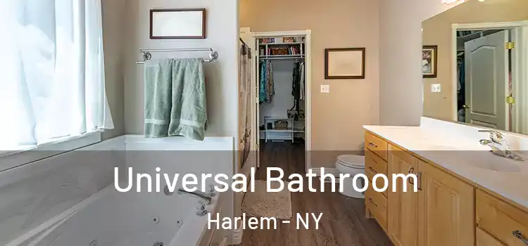 Universal Bathroom Harlem - NY
